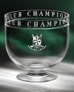 Museum Bowl Award  - SM 