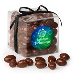 Stylish Acetate Cube with Chocolate Covered Almonds