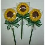 Milk Chocolate Sunflower Pop