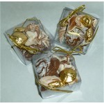 Chocolate Sea Shells with Foiled Shells in  Square Box.