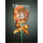 Fancy Chocolate Turkey Pop