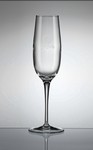 Crescendo 8 oz. Champagne Glass Set of 4
