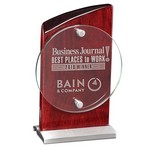 Corona Award in Rosewood Silver and Glass - Medium