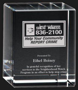 Deep Etched Large Cube Award Paperweight 