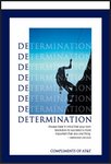 Motivational Determination Banner LG